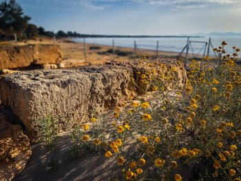 Co zobaczyć w Artemidzie? Ruiny ukrytego sanktuarium na plaży