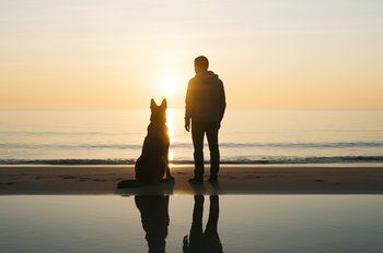 Dog-Friendly Beach Vacation in Greece: Why Artemida Is the Perfect Spot