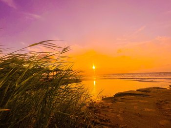 Artemida: The best beach destination near Athens for a relaxing holiday